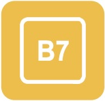 B7