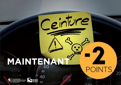 Permis à points - Ceinture  (Jpeg, 57 Kb)